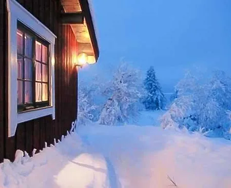 Trysilfjellet Nord 637 *